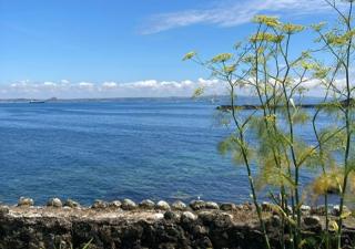 Morwenna Cottage - Mousehole - 2