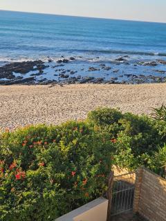 SEEMEEU - Jeffreysbaai - 6