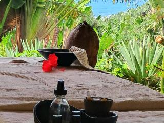 La VILLA ANKARENA Dans un domaine forestier tropical, villa entière avec PISCINE PRIVEE, Wifi, TV, personnels inclus Plage à 5 minutes à pieds - Sainte Marie - 4