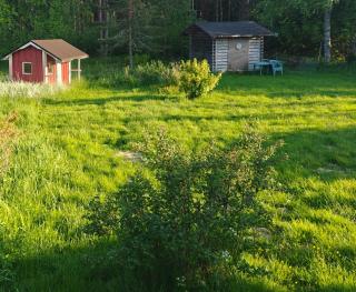 Siipyy blåhuse - Siipyy - 2