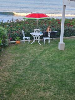 SEEMEEU - Jeffreysbaai - 1