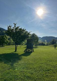 Erlebnis Gasthof Wasserhammer - Randegg - 4