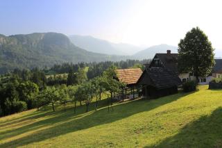 Sunset Valley Apartments and Rooms - Bohinj - 9
