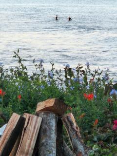 SEEMEEU - Jeffreys Bay - 1