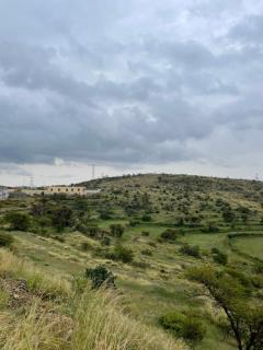 استراحة الذروة - Abha - 9