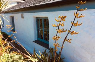 Sparrow's Nest - St Agnes - 1