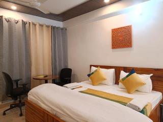 Hotel C 5 Hauz Khas - New Delhi - 4