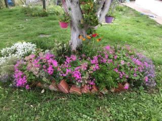 Garden View Apartment Poseidonas - Perivolion - 5