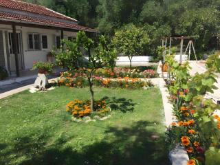 Garden View Apartment Poseidonas - Perivolion - 4