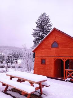 Domek nad Potokiem - Szczytna - 7