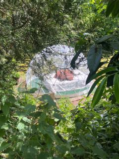 Cabane en thierache - Lesquielles-Saint-Germain - 1