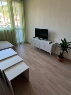 Apartment Rosa - 4