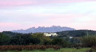 La Gatera - Gélida - 7