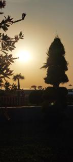 Rustic Tale Guesthouse - Tale - 7