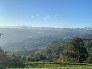 B&B La Collina - Casina - 0