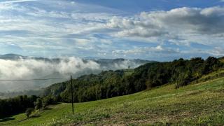 B&B La Collina - 5