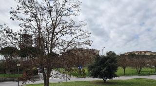 Casa sul Parco - Pisa - 9