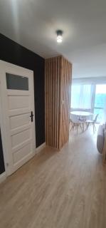 Nowoczesny jasny apartament nad Jeziorem - Szczecinek - 8
