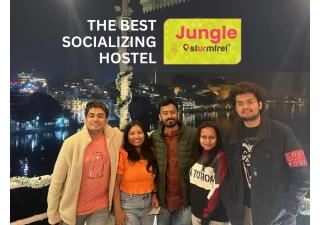 Jungle by sturmfrei Udaipur - Udaipur - 0