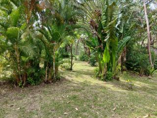 CHALET Serenity - Midlands - 8