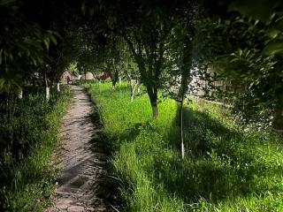 Gardeni Small - Garni - 4