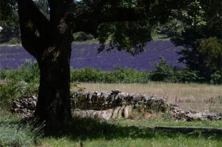 La Roulotte Authentique - Grignan - 3