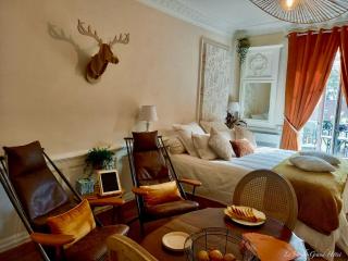 Studio 23m2 Le Grand Hotel en hyper centre-ville avec balcon - Aix-les-Bains - 5