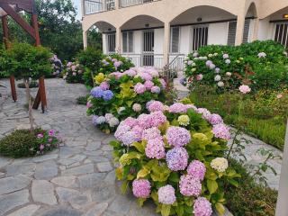 Margarita Apartments - Prévéza - 9