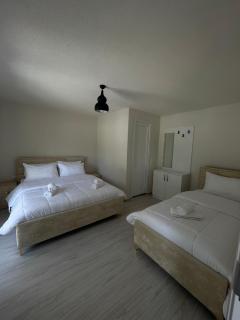 Ardiani Guesthouse - Valbonë - 1