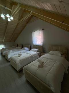 Ardiani Guesthouse - Valbonë - 2