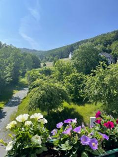 Waldhof Hochsauerland - Medebach - 2