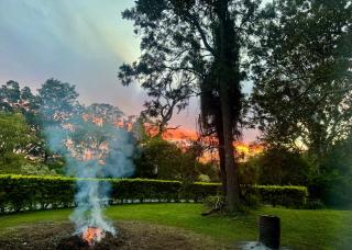 Crystal Cottage Retreat- Escape to the Hinterland! - 4