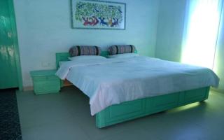 Tiger Safari Lodge - Dodi - 5