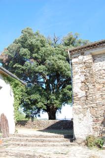 La vallée de Gaïa - Saint-Hilaire-de-Lavit - 1