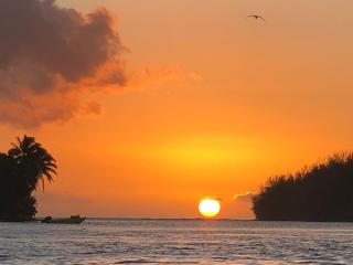 Beach Lifestyle Bungalow - - 0