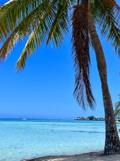 Beach Lifestyle Bungalow - - 3