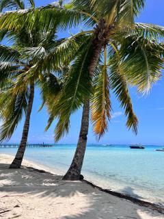 Beach Lifestyle Bungalow - - 2