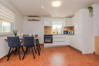 Apartments by the sea Vir - 24564 - Vir (Puntadura) - 2