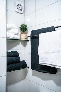 1 BR Apartment - ZENTRAL - BUSINESS - WIFI - KÜCHE - NETFLIX - PARKHAUS - Wiesbaden - 5