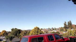 The peaceful central unit - Tauranga - 6