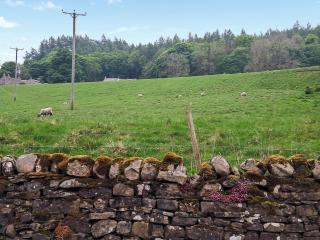 Railway Cottage - Stanhope - 1