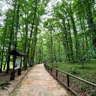 Arcaroli Borgo Vico "Luxe" - 2