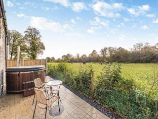 Coach House - Uk49793 - Cribyn - 0