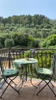 Appartamento Andora Tra gli ulivi - 1