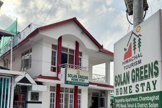 The Solan Greens - 0
