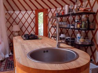 Forest Yurt - 9