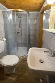 Farmhouse pri Miklavu - Bohinj - 8