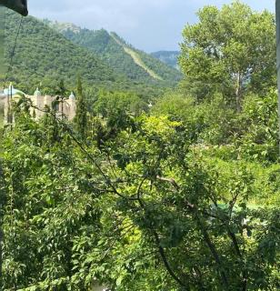 Heaven apartment - Gabala - 8