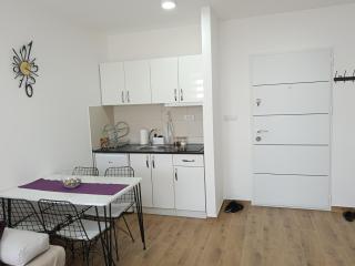 Apartman Sara S - Veliko Gradiste - 4