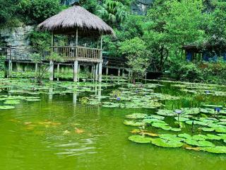 Green Valley Homestay - Thung Lũng Xanh - Nguyên Ngoại - 5
